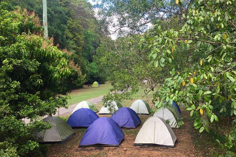 Byron Bay Kayaking With Dolphins And Mount Warning Sunrise Climb Including Overnight Camping And BBQ Dinner - Accommodation NT 13