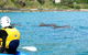 Byron Bay Kayaking With Dolphins And Mount Warning Sunrise Climb Including Overnight Camping And BBQ Dinner - thumb 8