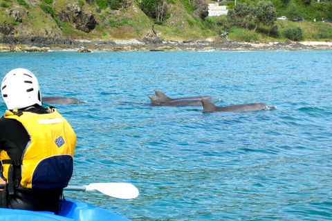 Byron Bay Kayaking With Dolphins And Mount Warning Sunrise Climb Including Overnight Camping And BBQ Dinner - Accommodation NT 8
