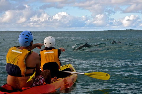 Byron Bay Kayaking With Dolphins And Mount Warning Sunrise Climb Including Overnight Camping And BBQ Dinner - Accommodation NT 3