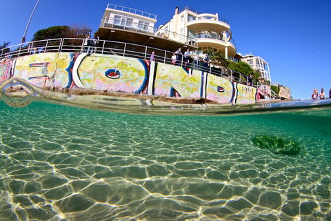 Bondi Like A Local: Half-Day Sightseeing Tour Including Surf Lesson - Accommodation NT 5