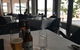 Sydney Opera House & The Australian Ballet Dinner With Drinks Package - thumb 3
