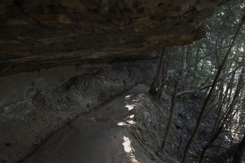 Private Blue Mountains Insider Tour From Sydney - Accommodation NT 25