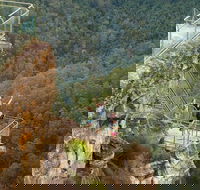 Blue Mountains Small-Group Insider Tour from Sydney