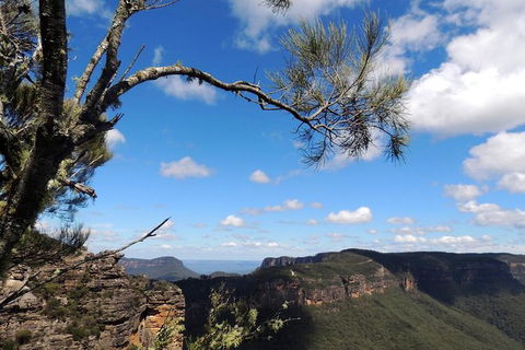 Blue Mountains Small-Group Insider Tour From Sydney - Accommodation NT 1