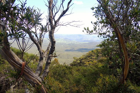 Blue Mountains Small-Group Insider Tour From Sydney - Accommodation NT 6