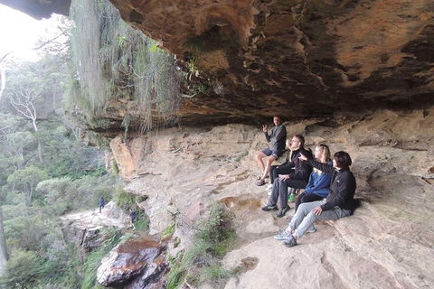 Blue Mountains Small-Group Insider Tour From Sydney - Accommodation NT 19