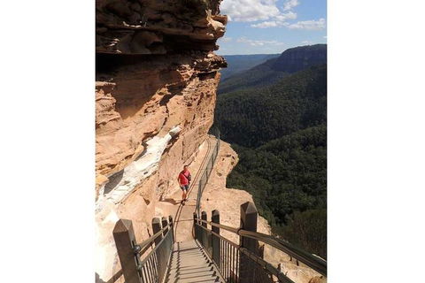 Blue Mountains Small-Group Insider Tour From Sydney - Accommodation NT 13
