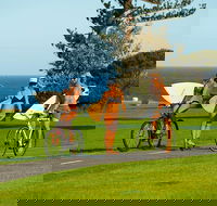 4-Week Surf Development Course