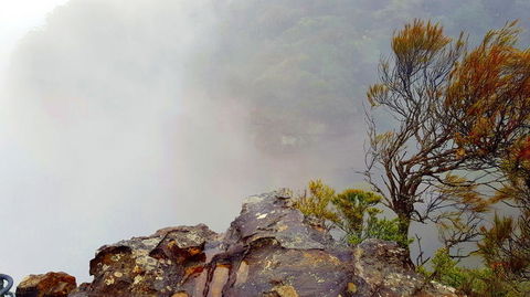 Blue Mountains Day Trip Including Parramatta River Cruise - Accommodation NT 12