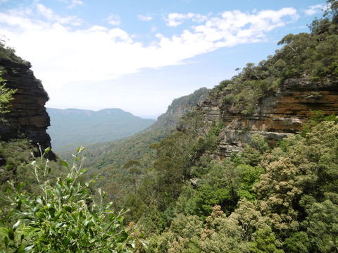 Blue Mountains Day Trip Including Parramatta River Cruise - Accommodation NT 8