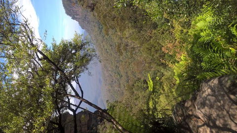Blue Mountains Day Trip Including Parramatta River Cruise - Accommodation NT 5