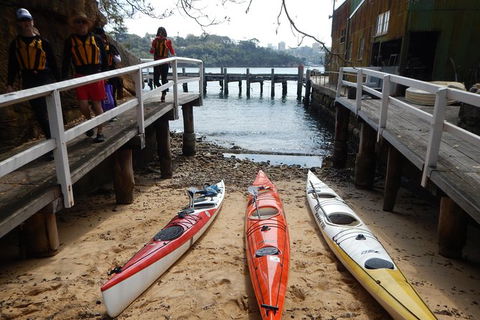 Kayak To Goat Island In Sydney Harbour With Local - Accommodation NT 11