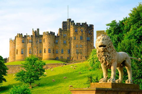 Alnwick Castle Ticket - Accommodation NT 1