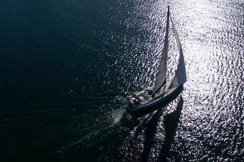 Vivid Dinner Cruise Sydney Harbour - Accommodation NT 7
