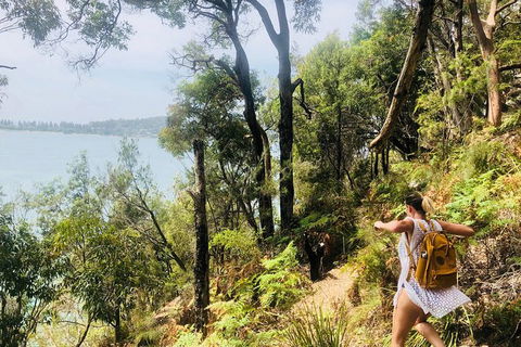 Best Of The Hawkesbury - 3 Day River Adventure - Accommodation NT 29