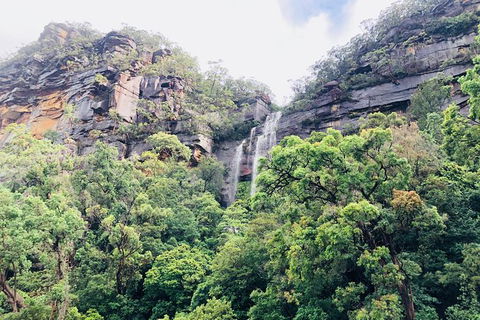 Best Of The Hawkesbury - 3 Day River Adventure - Accommodation NT 15