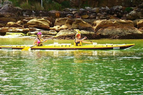 Self-Guided Sydney Middle Harbour Kayak 3 Hour Tour By Double Kayak - Accommodation NT 1