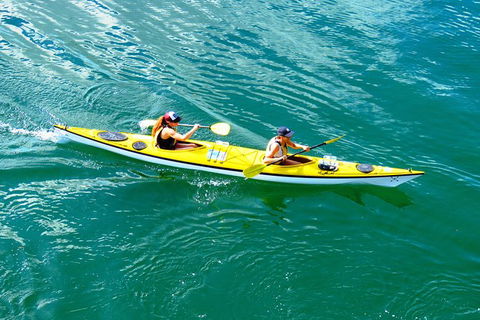 Self-Guided Sydney Middle Harbour Kayak 3 Hour Tour By Double Kayak - Accommodation NT 0