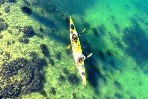 Self-Guided Sydney Middle Harbour Kayak 3 Hour Tour By Double Kayak - Accommodation NT 3