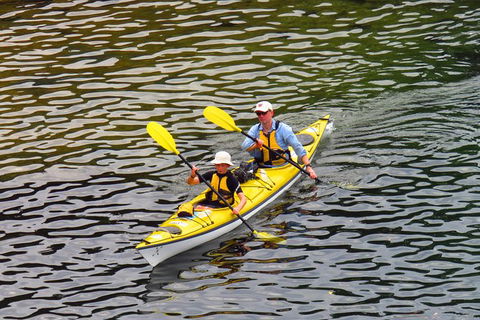 Self-Guided Sydney Middle Harbour Kayak 3 Hour Tour By Double Kayak - Accommodation NT 6