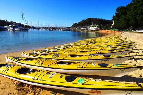 Self-Guided Sydney Middle Harbour Kayak 3 Hour Tour By Double Kayak - Accommodation NT 4