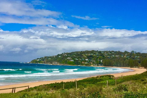 Small-Group Sydney\'s Northern Beaches And Ku-ring-gai National Park Bus Tour - Accommodation NT 11