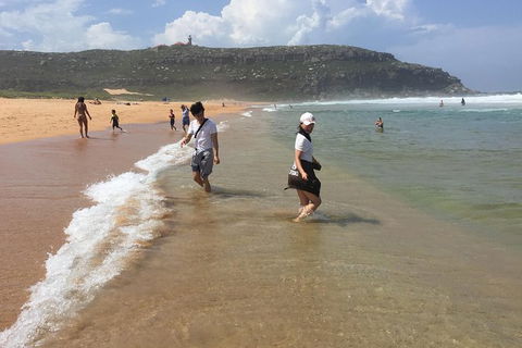 Small-Group Sydney\'s Northern Beaches And Ku-ring-gai National Park Bus Tour - Accommodation NT 6