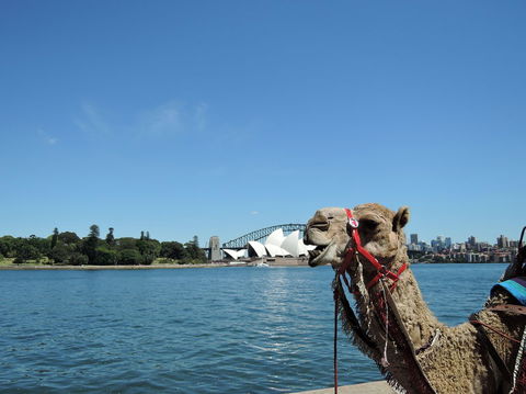 Opera On Sydney Harbour: La Traviata - Accommodation NT 11