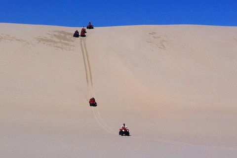 Worimi Sand Dunes Quad Bike Tour - Accommodation NT 3