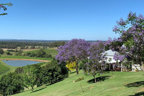 Private Hunter Valley Lunch Tour By Helicopter - Accommodation NT 4
