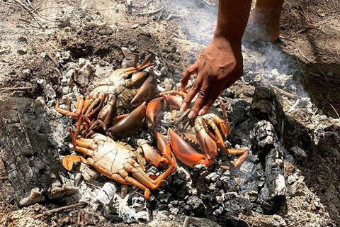 Pot To Plate Adventure - Accommodation NT 10