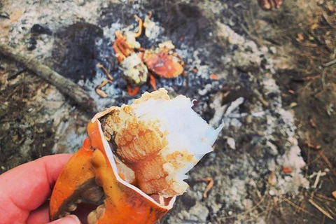 Pot To Plate Adventure - Accommodation NT 4