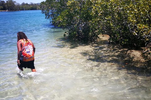 Pot To Plate Adventure - Accommodation NT 3