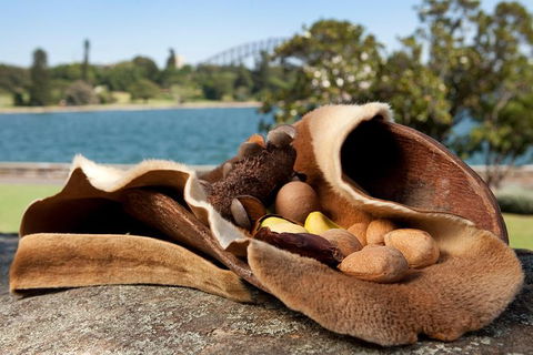 Aboriginal Heritage Tour At The Royal Botanic Garden Sydney - Accommodation NT 7
