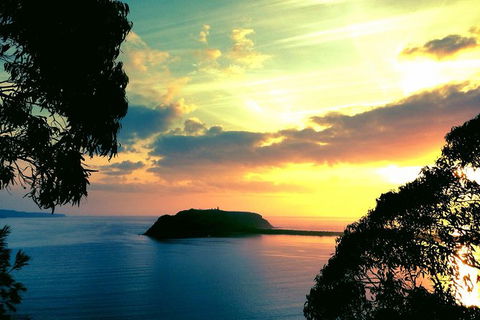 Palm Beach And Pittwater Kayak Tours - Accommodation NT 0