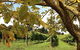 Private Southern Highlands Day Trip From Sydney Including Fitzroy Falls - thumb 2