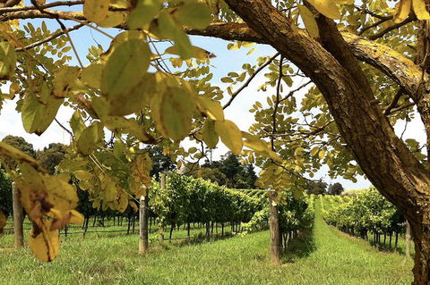 Private Southern Highlands Day Trip From Sydney Including Fitzroy Falls - Accommodation NT 2