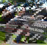 Private Tobruk Sheep Station Day Tour from Sydney Including BBQ Lunch - Accommodation NT