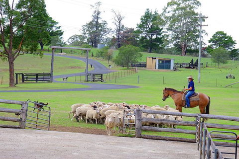 Private Tobruk Sheep Station Day Tour From Sydney Including BBQ Lunch - Accommodation NT 6