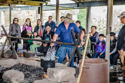 Private Tobruk Sheep Station Day Tour From Sydney Including BBQ Lunch - Accommodation NT 2