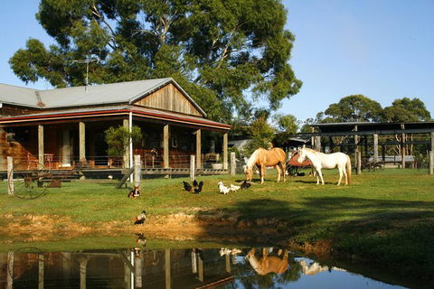 Private Tobruk Sheep Station Day Tour From Sydney Including BBQ Lunch - Accommodation NT 5