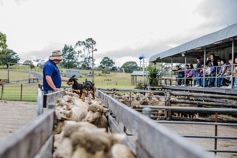 Private Tobruk Sheep Station Day Tour From Sydney Including BBQ Lunch - Accommodation NT 7