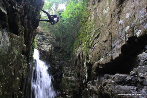 Full Day Sub-Tropical Rainforest Canyoning Adventure From Sydney - Accommodation NT 1