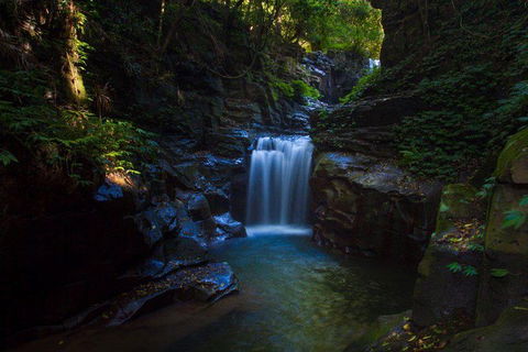 Full Day Sub-Tropical Rainforest Canyoning Adventure From Sydney - Accommodation NT 8