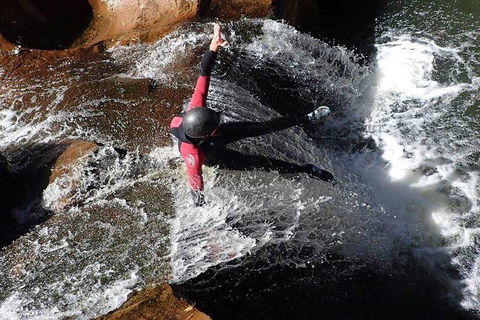 Full Day Sub-Tropical Rainforest Canyoning Adventure From Sydney - Accommodation NT 5
