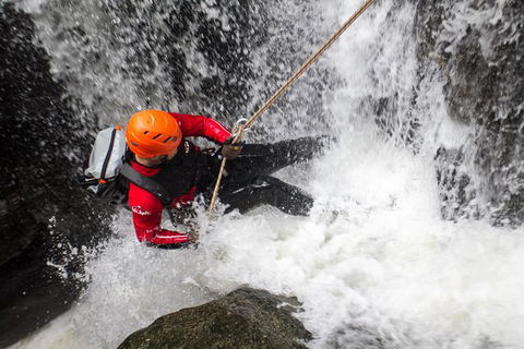 Full Day Sub-Tropical Rainforest Canyoning Adventure From Sydney - Accommodation NT 2
