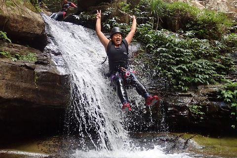 Full Day Sub-Tropical Rainforest Canyoning Adventure From Sydney - Accommodation NT 3