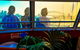 Sydney City Private Tour - thumb 1