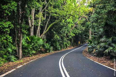 Waves Waterfalls And Wineries Full-Day Southern Highlands Private Tour - Accommodation NT 1